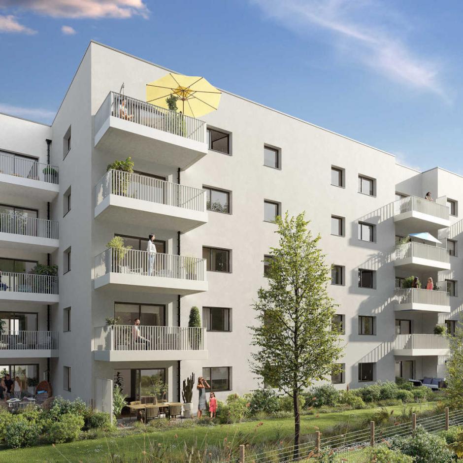 Perspective principale du programme