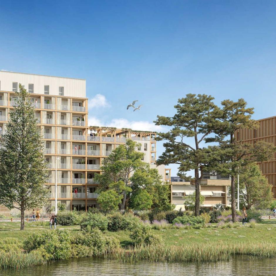 Perspective principale du programme