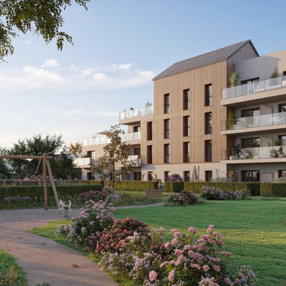 Perspective principale du programme