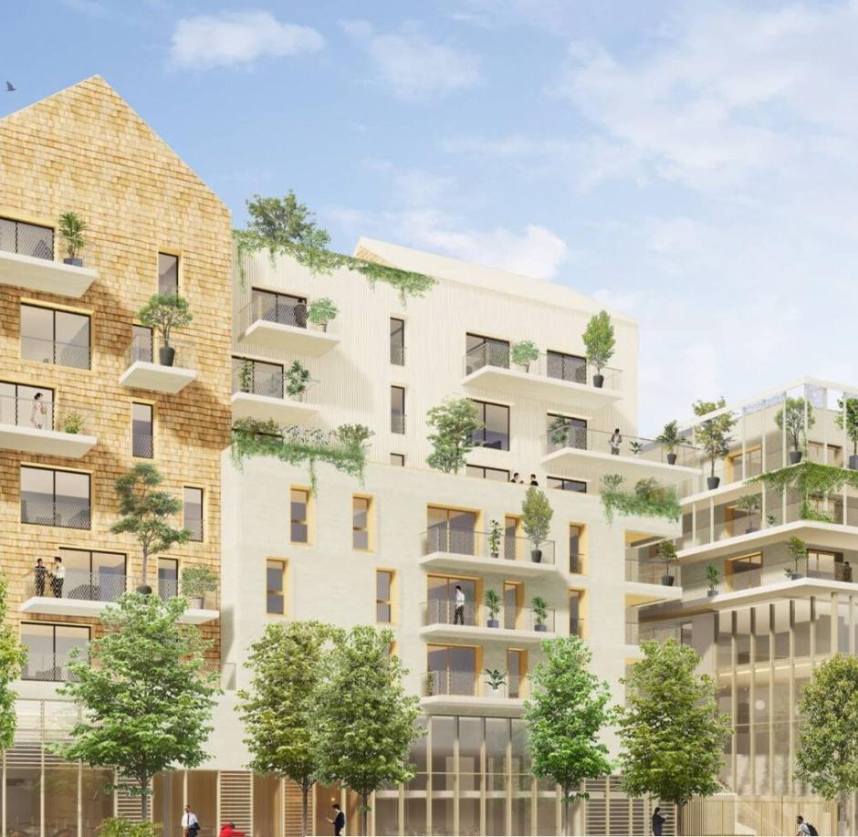 Perspective principale du programme