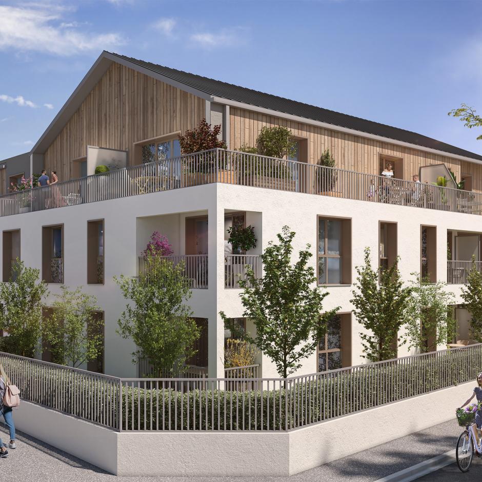 Perspective principale du programme