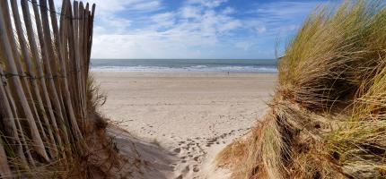 Perspective du programme neuf Les Jardins du Littoral 