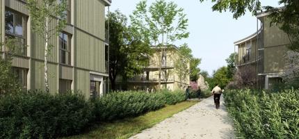 Perspective du programme neuf Les Bosquets du Roi - Maisons 