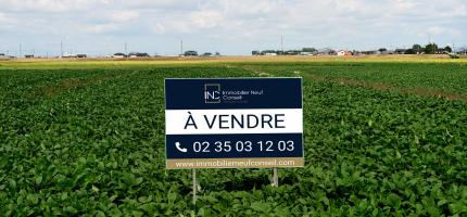 Perspective du programme neuf  Rue aux juifs, 7 terrains