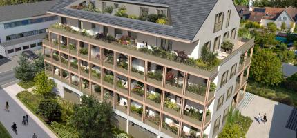 Perspective du programme neuf Les Dryades 