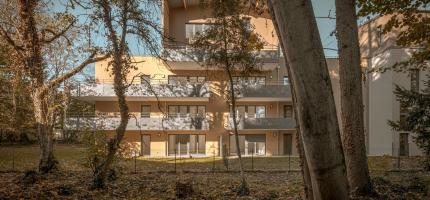 Perspectives du programme neuf AU JARDIN DES DAMES 