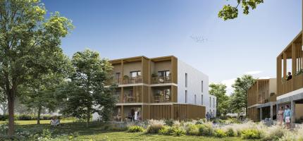 Perspectives du programme neuf Boisea 