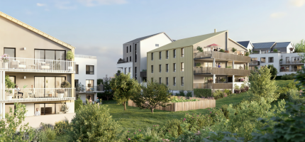 Perspectives du programme neuf DOMAINE DE BUTHEGNEMONT 