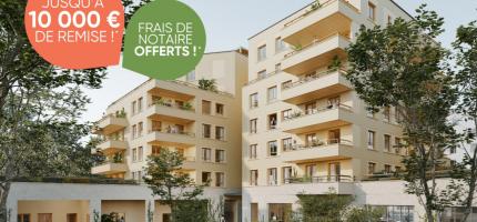 Perspectives du programme neuf SYNEO 