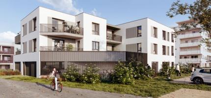 Perspectives du programme neuf ARION 