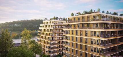 Photos du programme neuf TERRASSES EN SEINE 